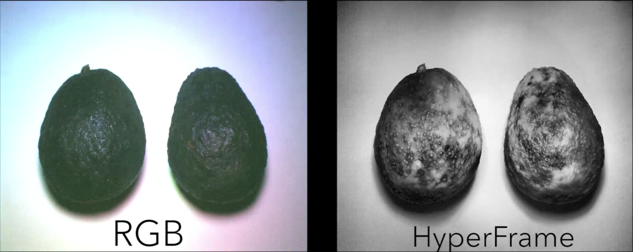 HyperCam-avocado