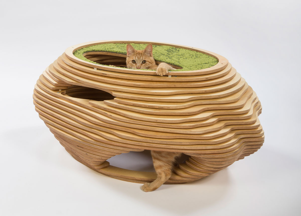 abramson-teiger-architects-cat-shelter-design